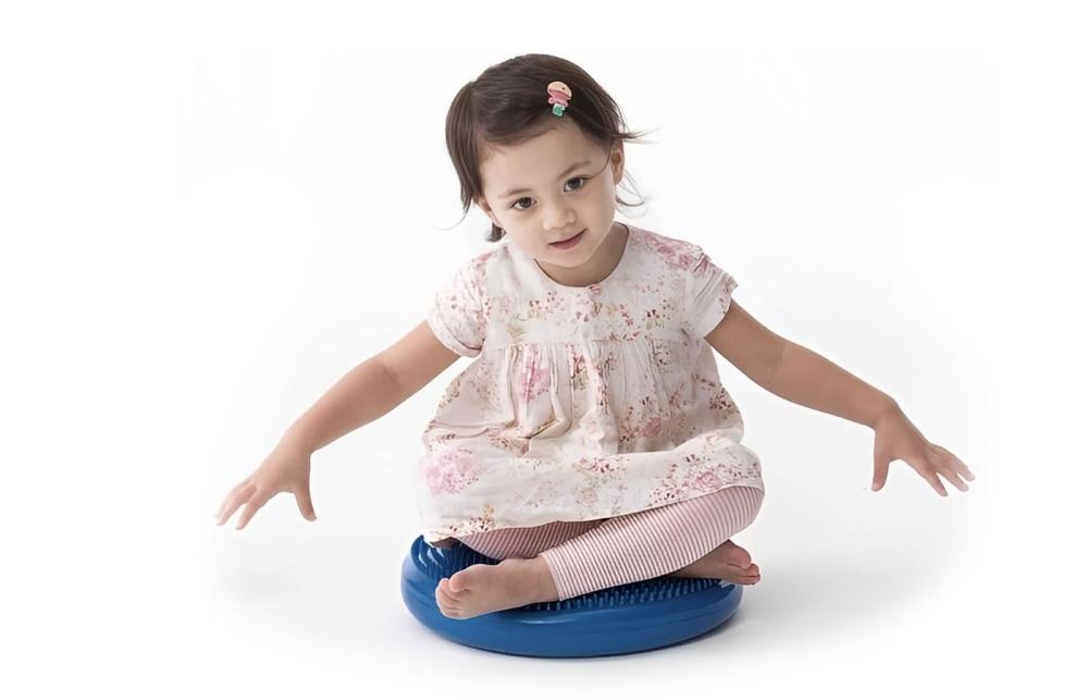 Wiggle Cushion for SDHD