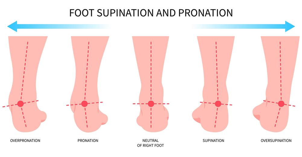 Supination Illustrated