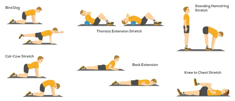 Back Exercises