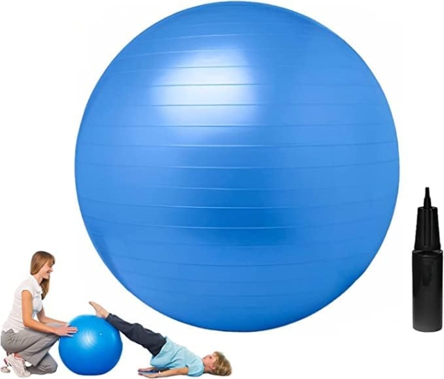 Physioworx Burst Resistant Gym Ball 250kgs with Inflatable Pump For Physiotherapy, Fitness, Yoga, Home exercise, Sensory