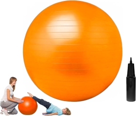Exercise Ball and Pump