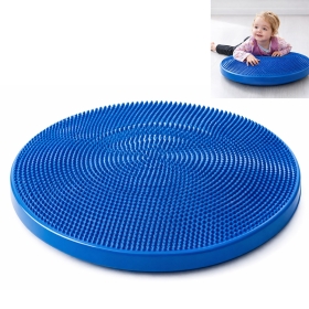 Sensory Cushion