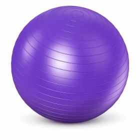 Maternity Exercise Ball | 65cm - Purple | Robust Build