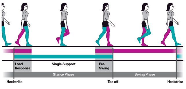 gaitcycle3