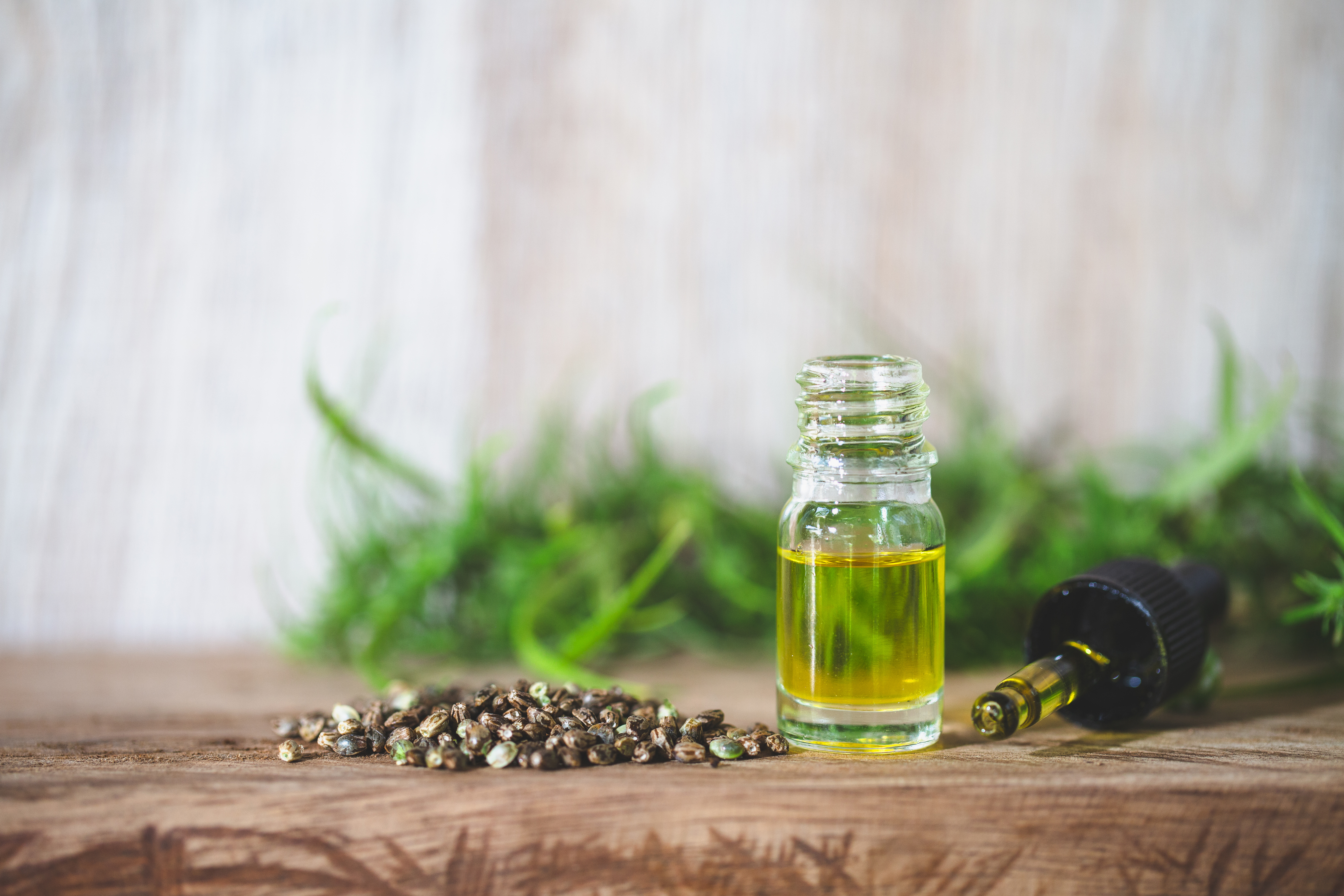 Hempe oil