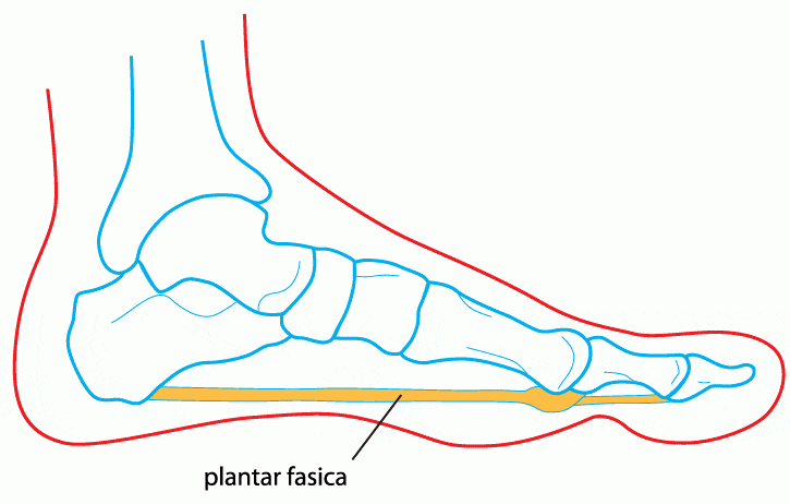 Windlass Diagram