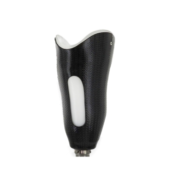 Prosthetic Materials