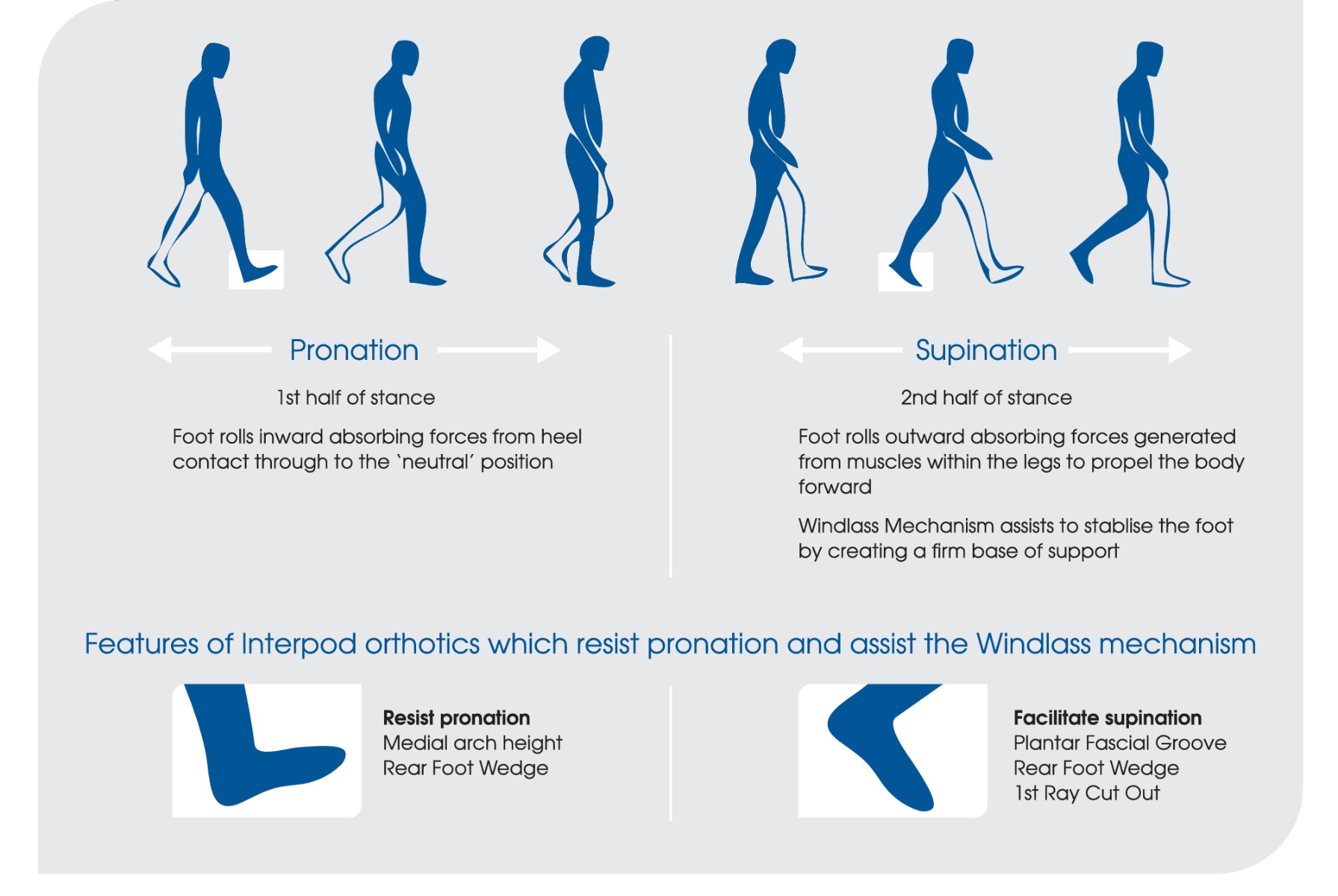 Gait cycle