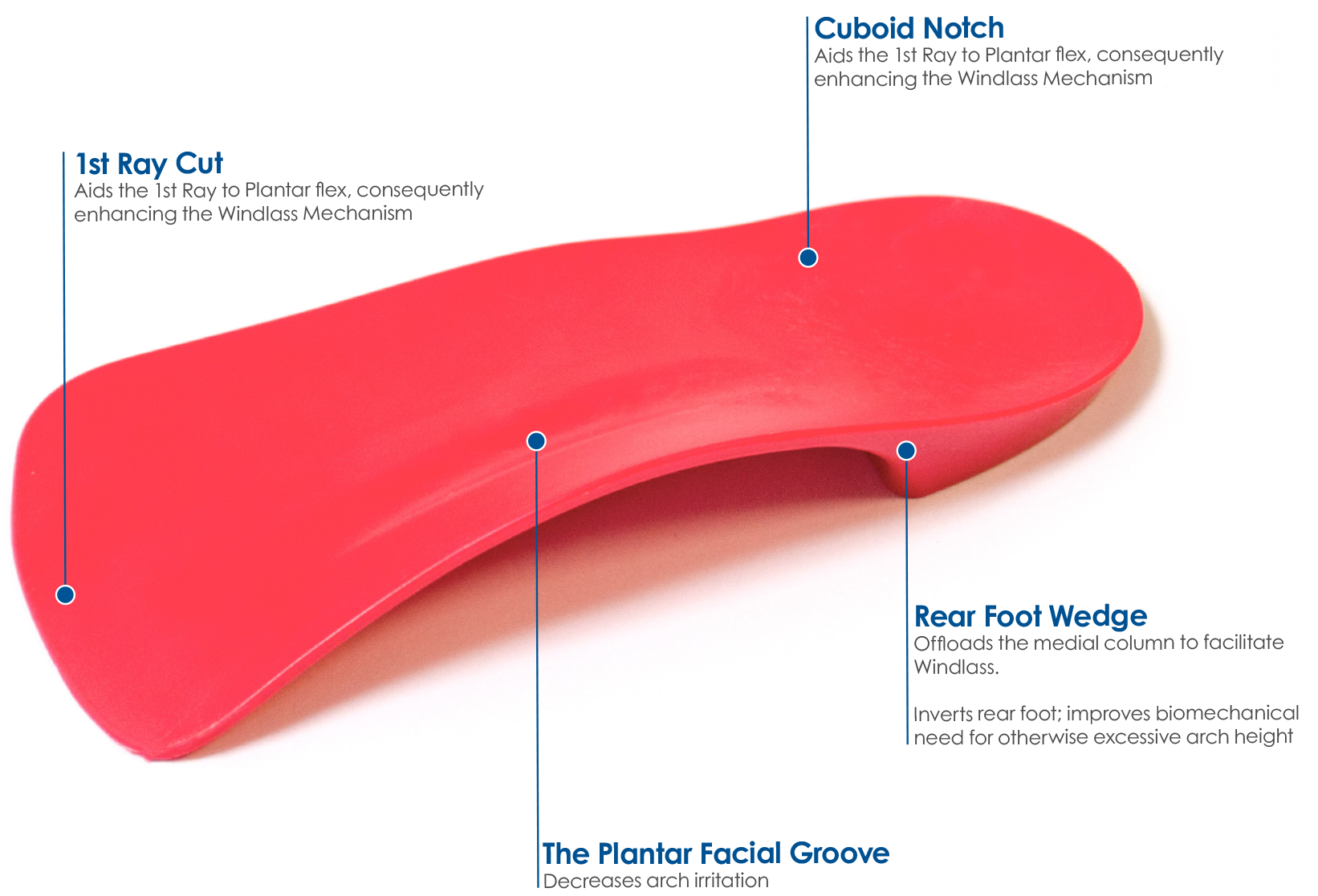 Interpod orthotic features