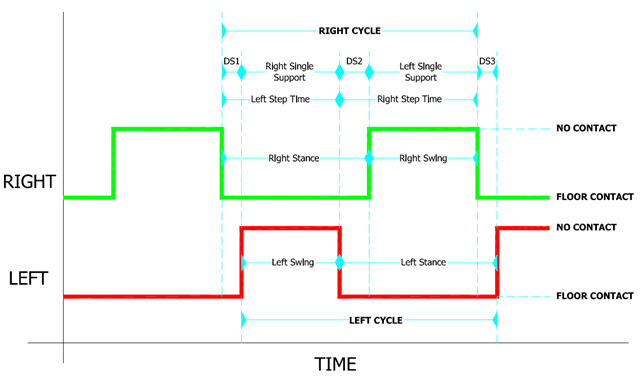 app-gait-analysis-2