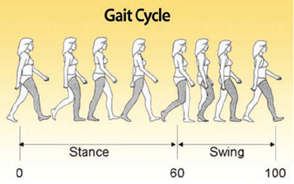 app-gait-analysis-3